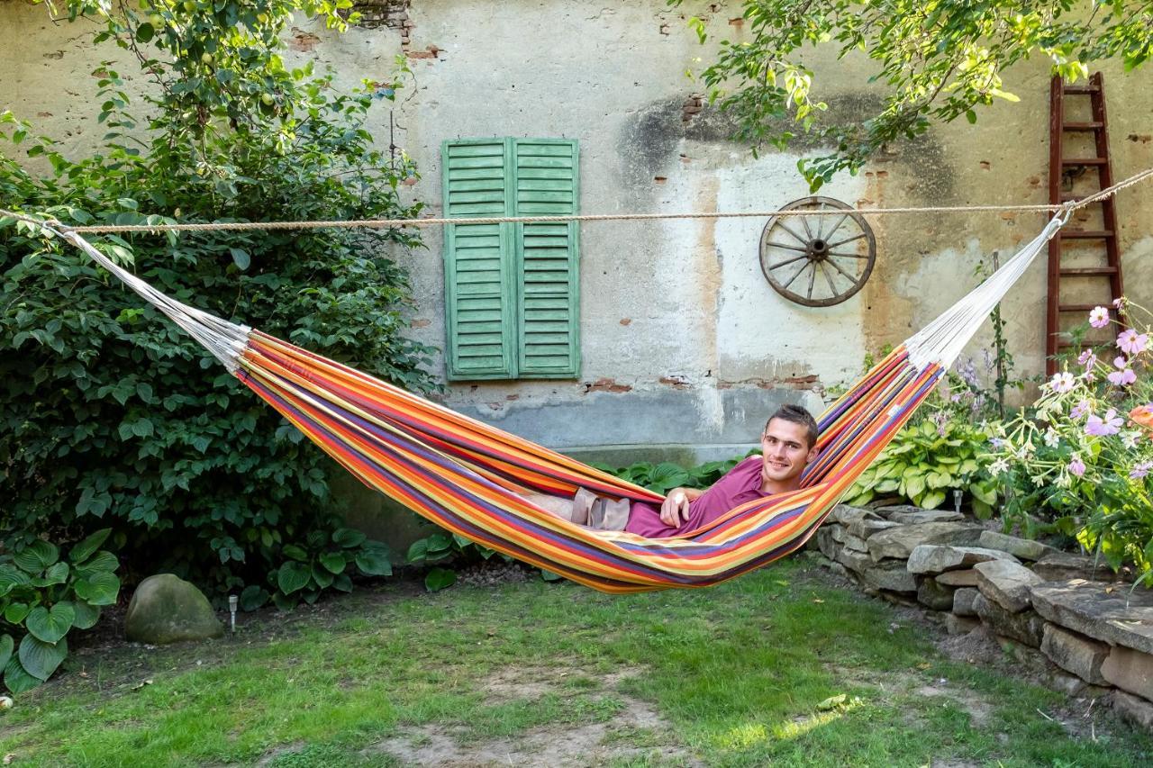 Villa Rihuini Eco Wine House Transylvania Richişu エクステリア 写真