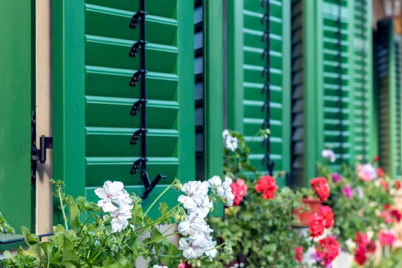 Villa Rihuini Eco Wine House Transylvania Richişu エクステリア 写真