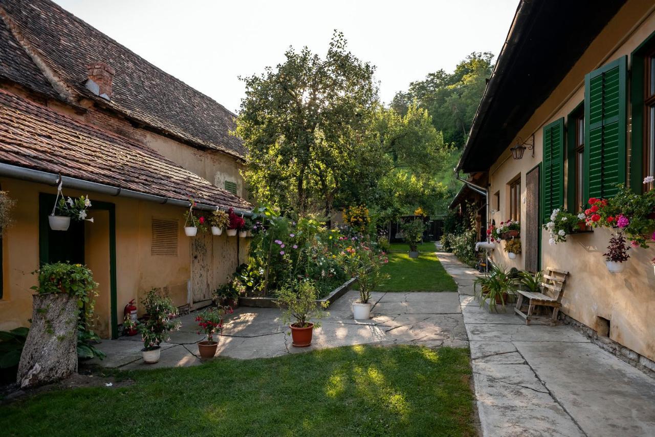 Villa Rihuini Eco Wine House Transylvania Richişu エクステリア 写真