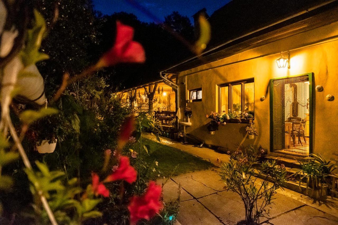 Villa Rihuini Eco Wine House Transylvania Richişu エクステリア 写真