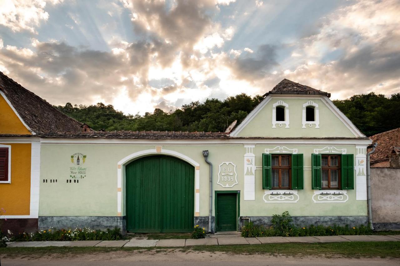Villa Rihuini Eco Wine House Transylvania Richişu エクステリア 写真