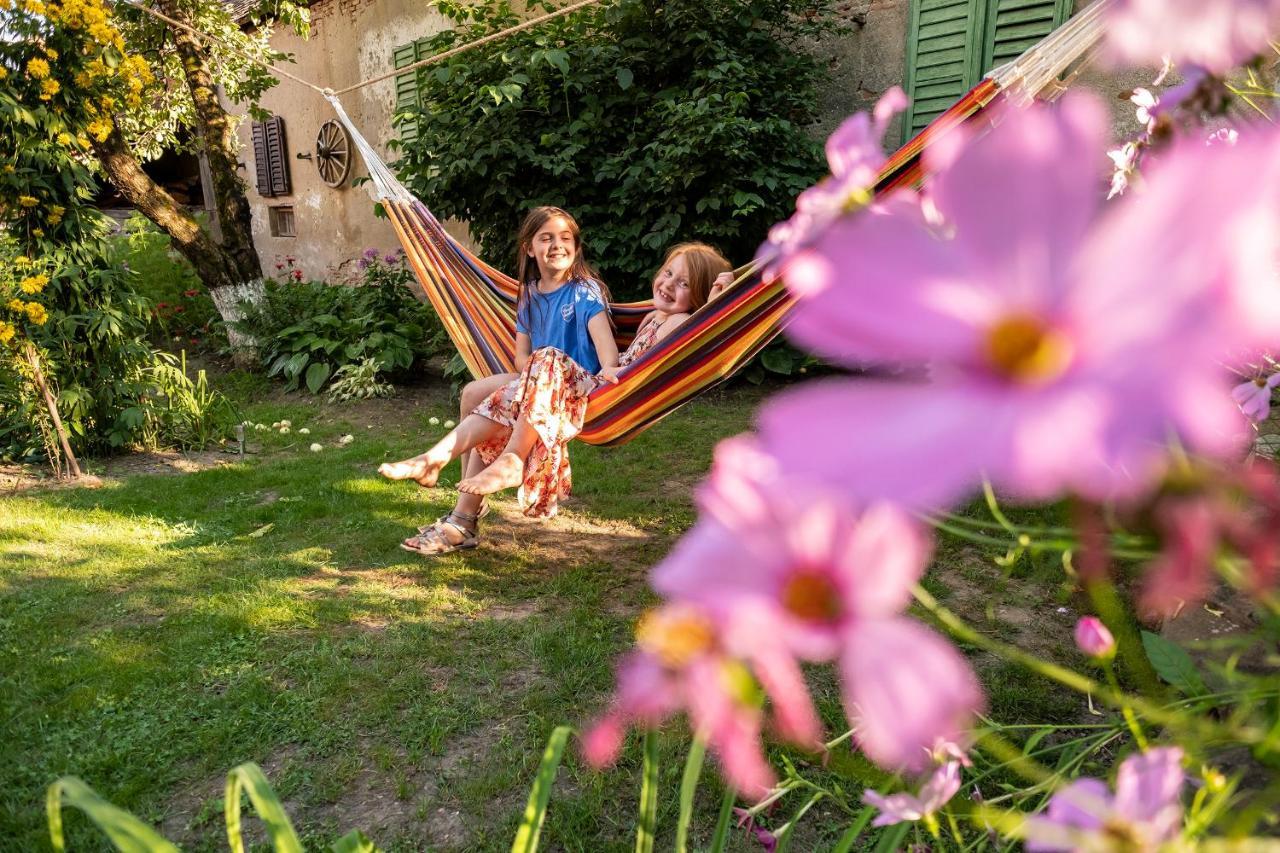 Villa Rihuini Eco Wine House Transylvania Richişu エクステリア 写真
