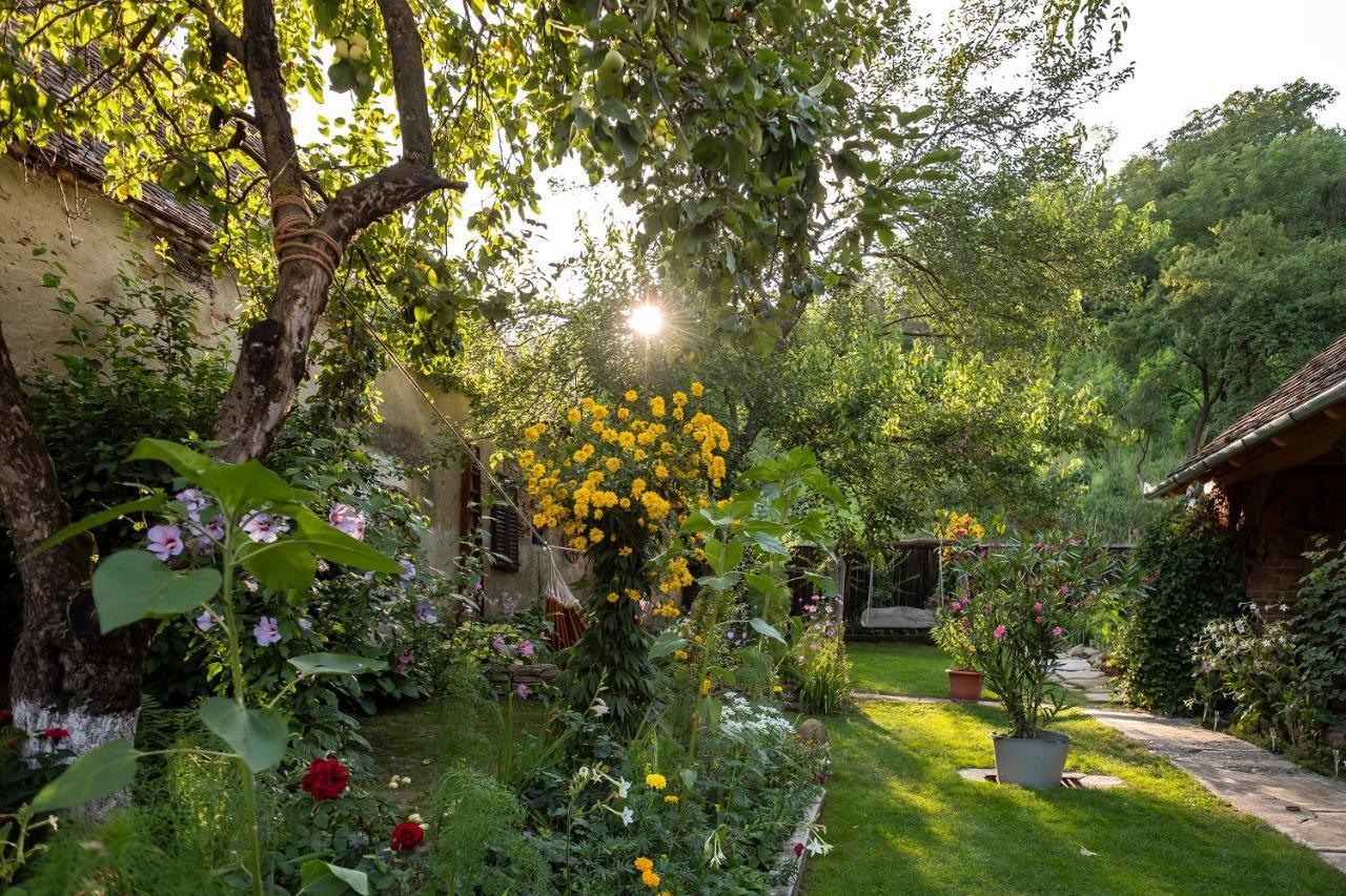 Villa Rihuini Eco Wine House Transylvania Richişu エクステリア 写真
