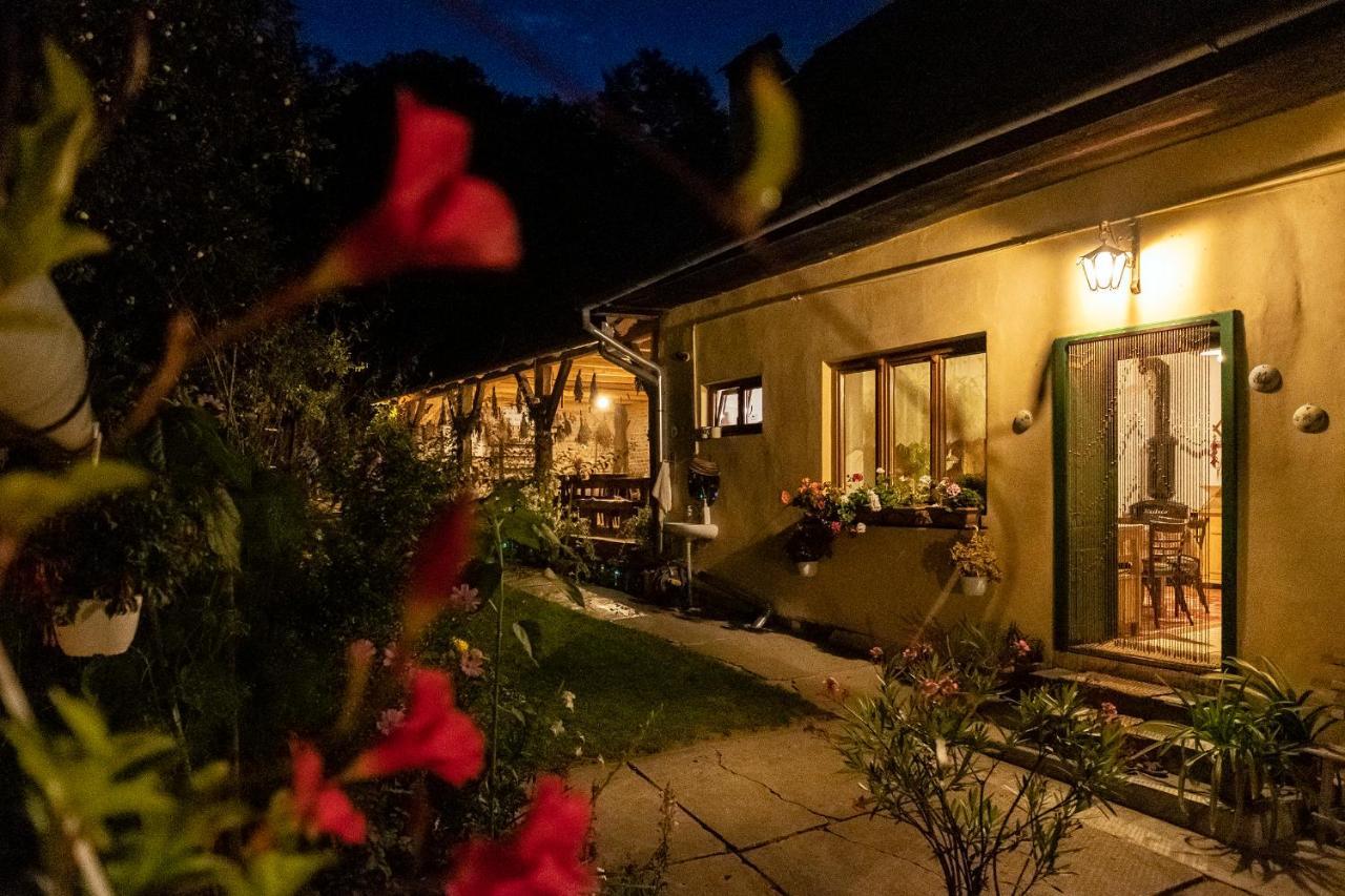 Villa Rihuini Eco Wine House Transylvania Richişu エクステリア 写真