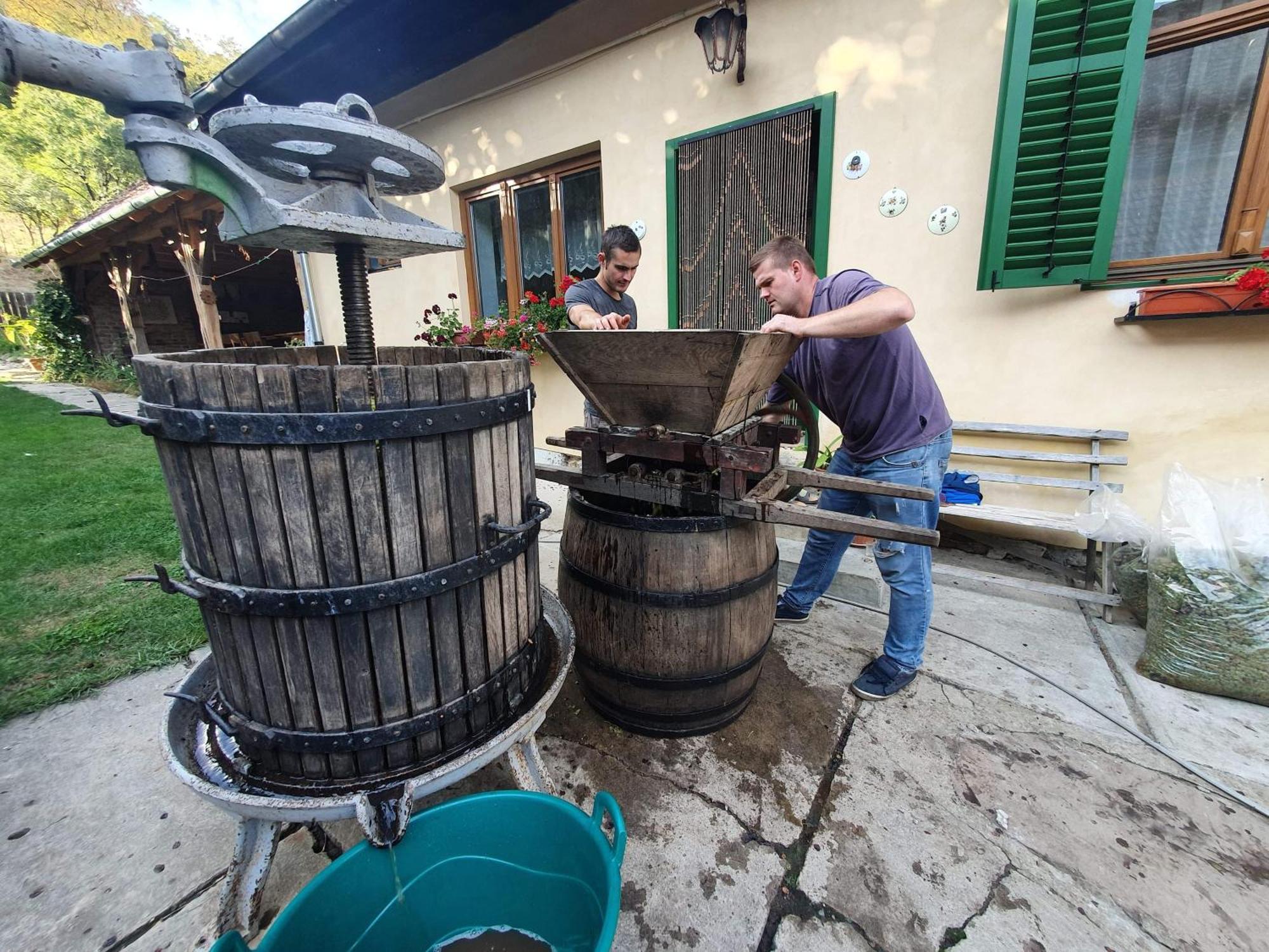 Villa Rihuini Eco Wine House Transylvania Richişu エクステリア 写真